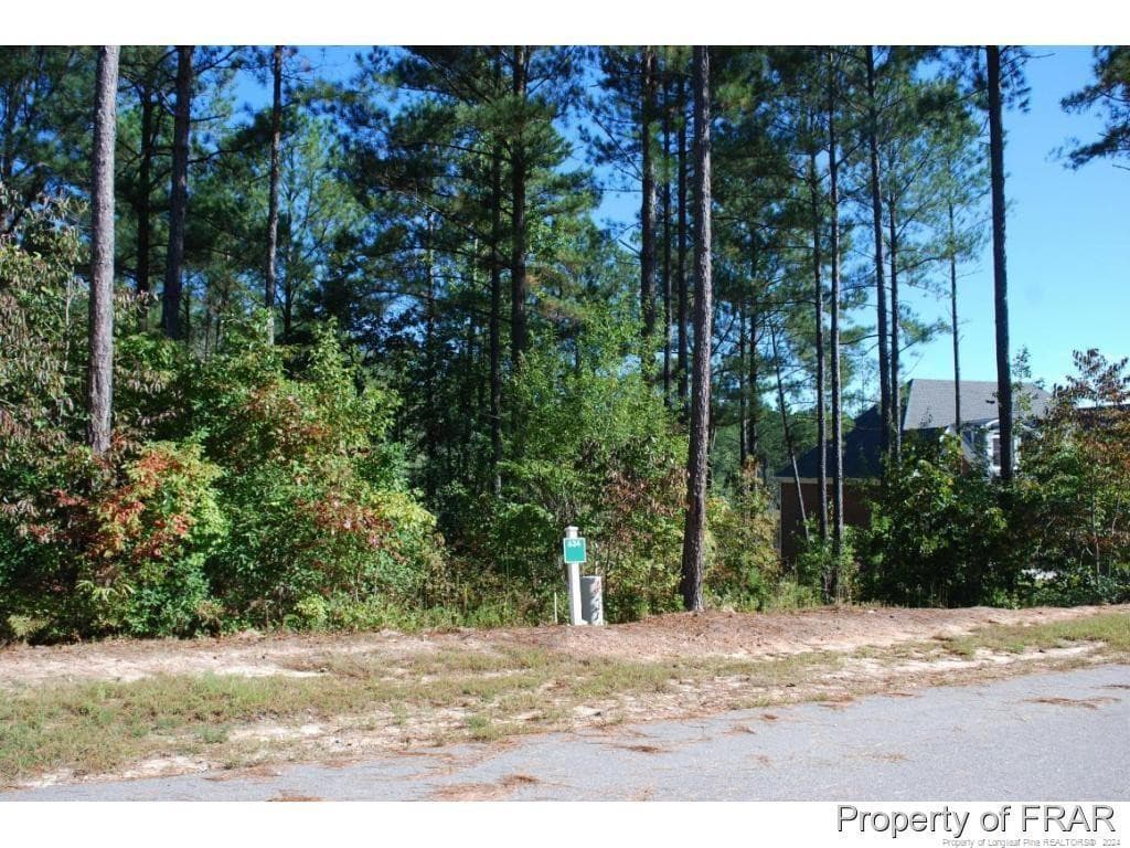 Photo 3 - 132 Broadlake (634) Lane, Spring Lake, NC 28390