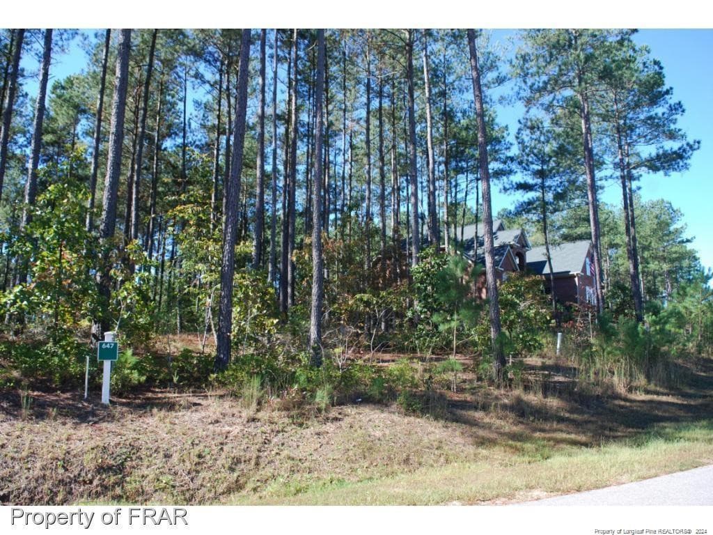 Photo 6 - 125 Broadlake (647) Lane, Spring Lake, NC 28390