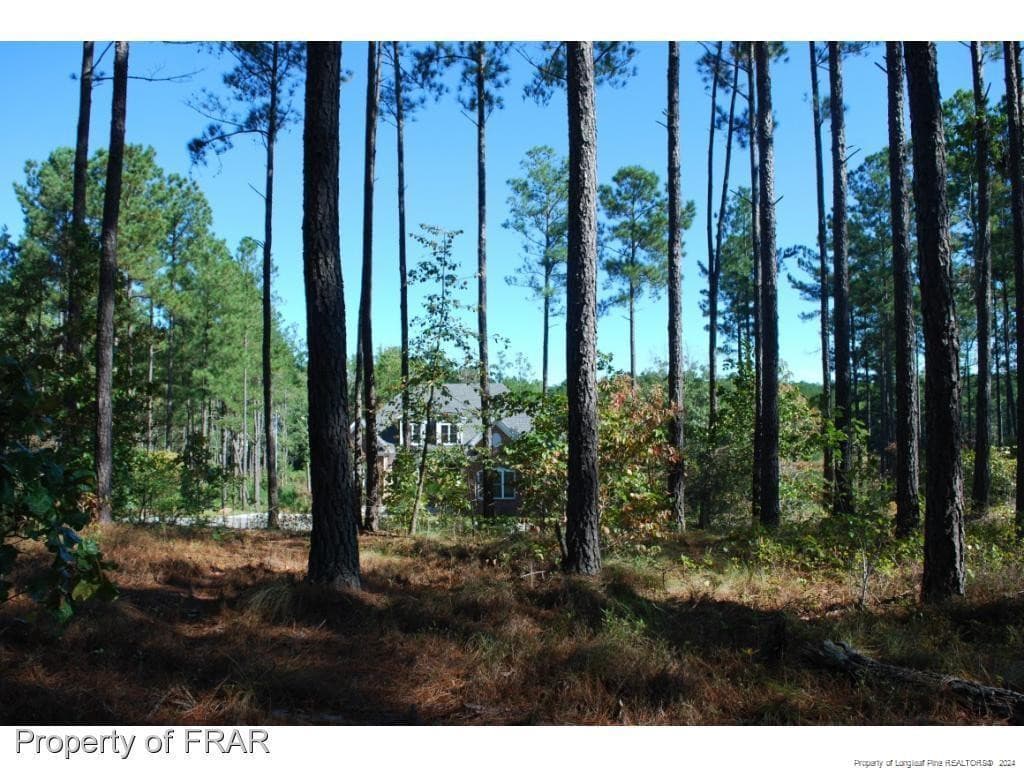 Photo 7 - 125 Broadlake (647) Lane, Spring Lake, NC 28390