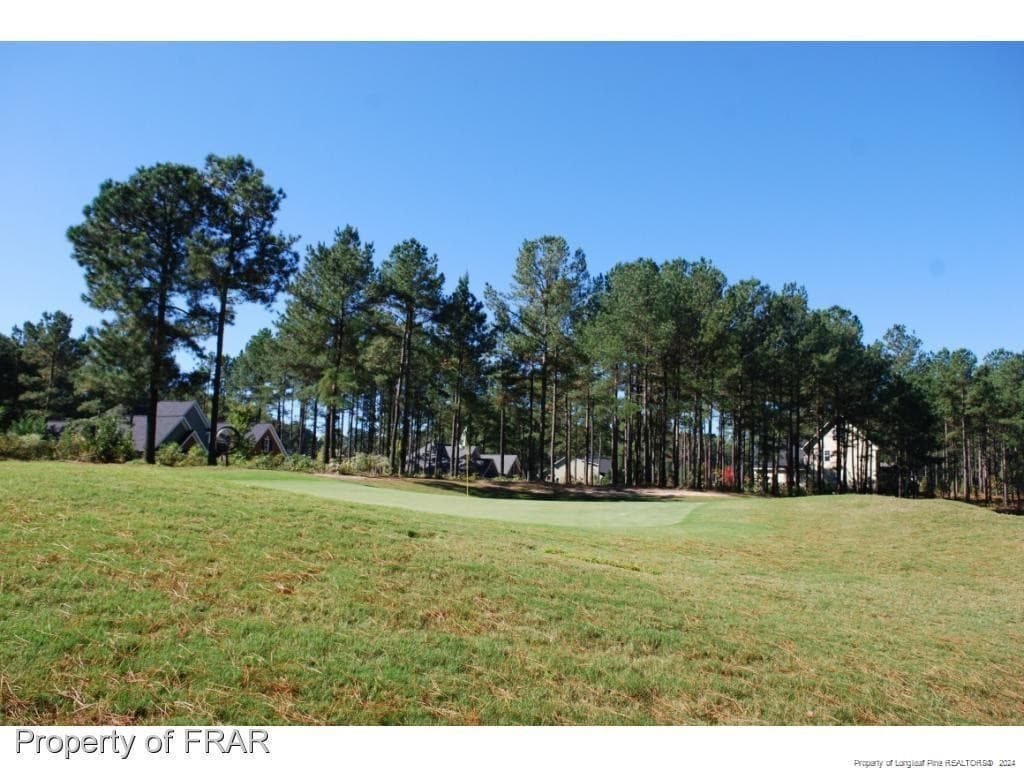 Photo 9 - 125 Broadlake (647) Lane, Spring Lake, NC 28390