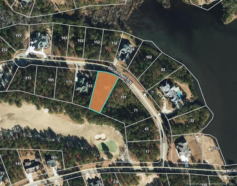 Photo 10 - 125 Broadlake (647) Lane, Spring Lake, NC 28390