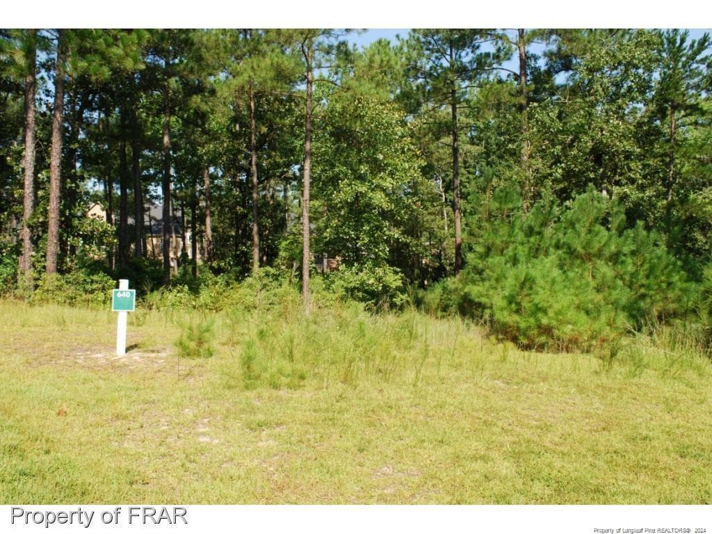 Photo 2 - 232 Broadlake (640) Lane, Spring Lake, NC 28390