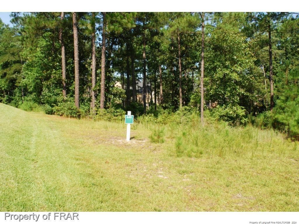 232 Broadlake (640) Lane, Spring Lake, NC 28390
