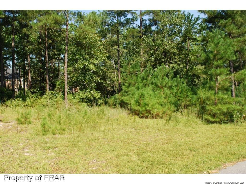Photo 3 - 232 Broadlake (640) Lane, Spring Lake, NC 28390