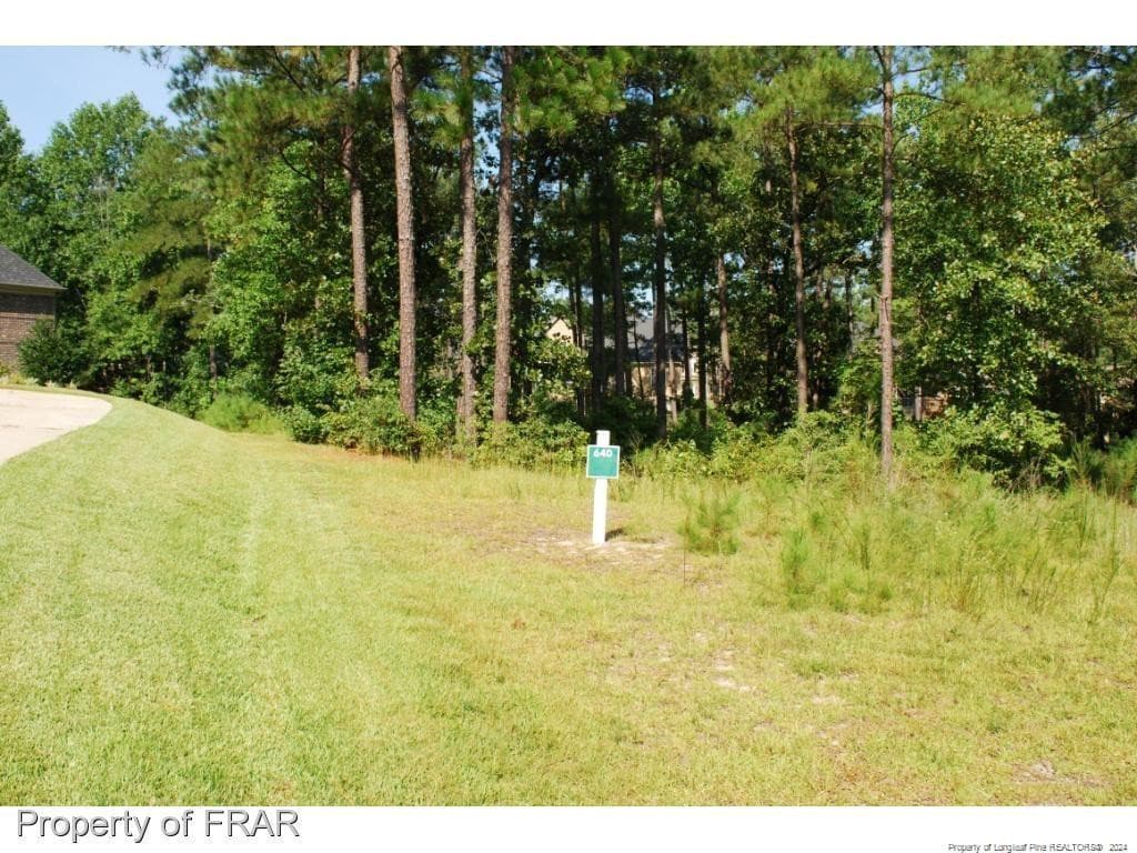 Photo 4 - 232 Broadlake (640) Lane, Spring Lake, NC 28390
