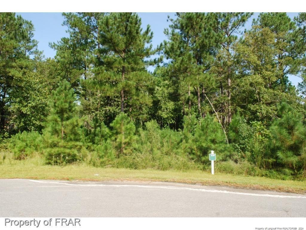 Photo 2 - 222 Broadlake (639) Lane, Spring Lake, NC 28390