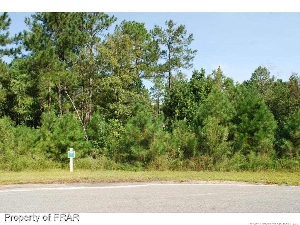 Photo 3 - 222 Broadlake (639) Lane, Spring Lake, NC 28390