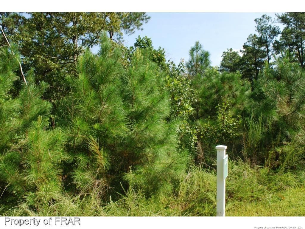 Photo 4 - 222 Broadlake (639) Lane, Spring Lake, NC 28390