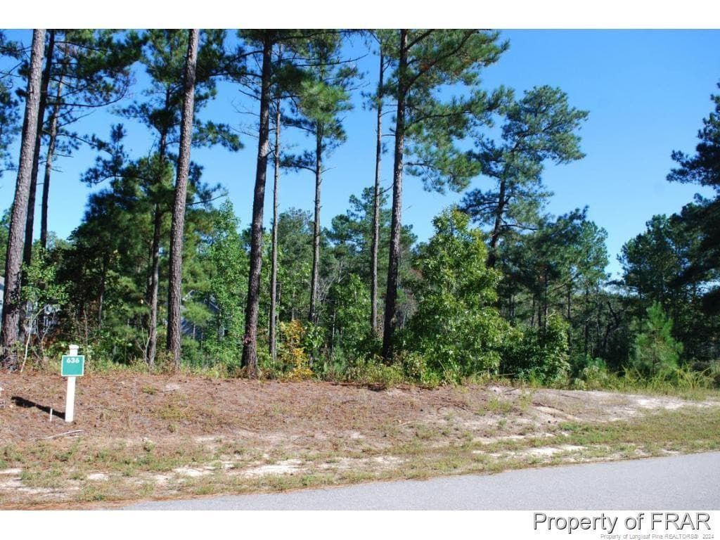 Photo 3 - 162 Broadlake (636) Lane, Spring Lake, NC 28390