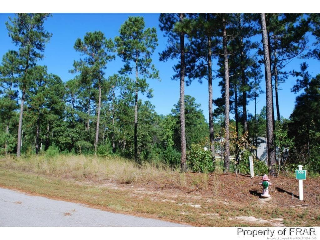 Photo 4 - 162 Broadlake (636) Lane, Spring Lake, NC 28390