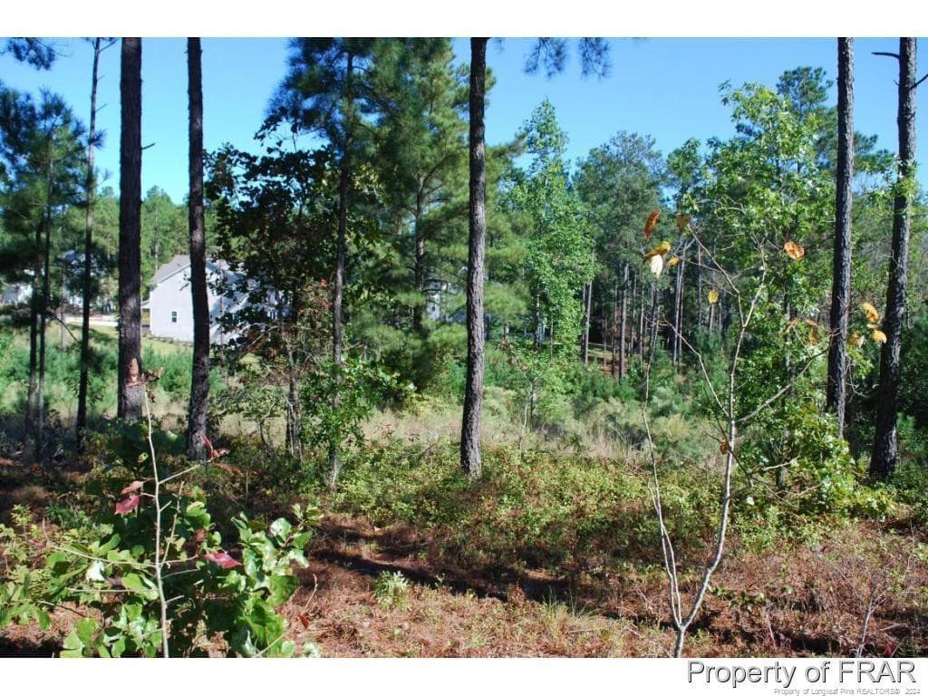 Photo 5 - 162 Broadlake (636) Lane, Spring Lake, NC 28390