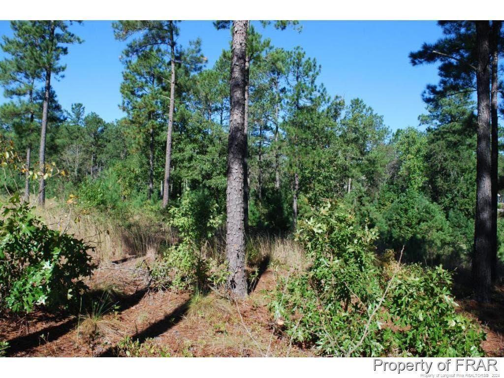Photo 6 - 162 Broadlake (636) Lane, Spring Lake, NC 28390
