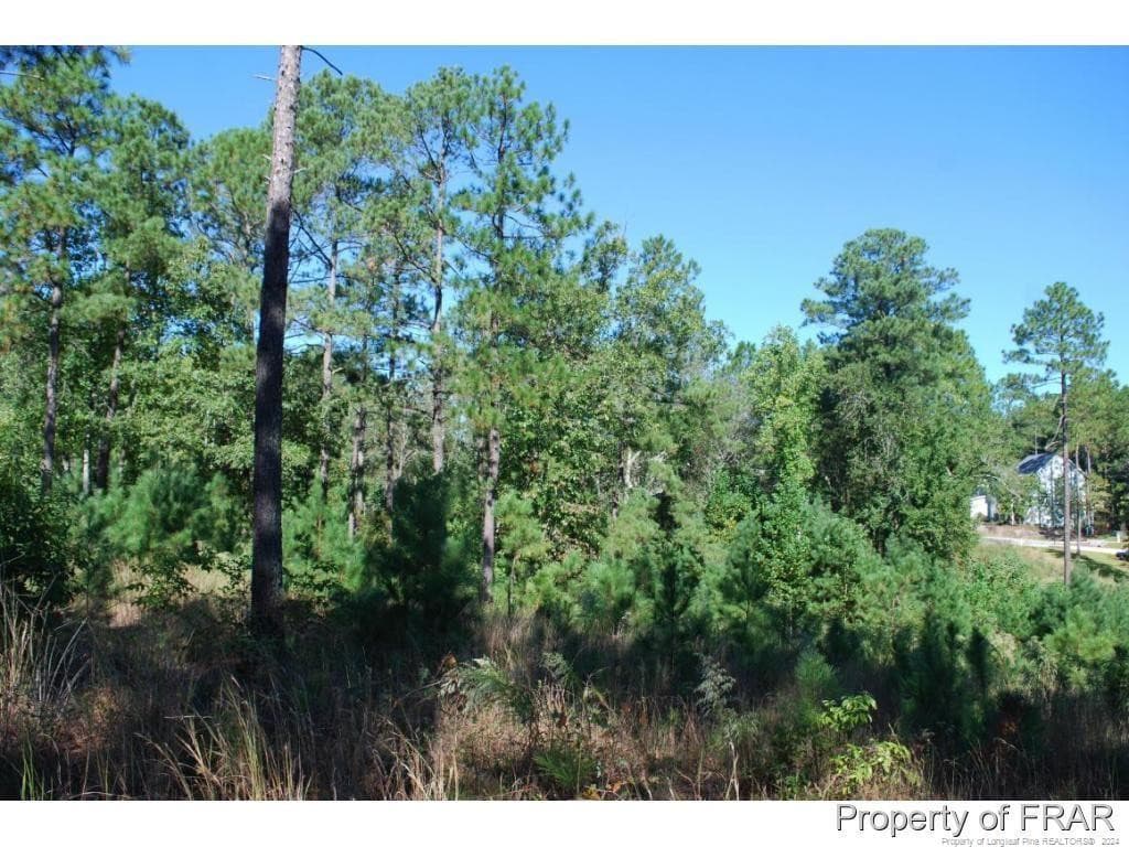 Photo 8 - 162 Broadlake (636) Lane, Spring Lake, NC 28390