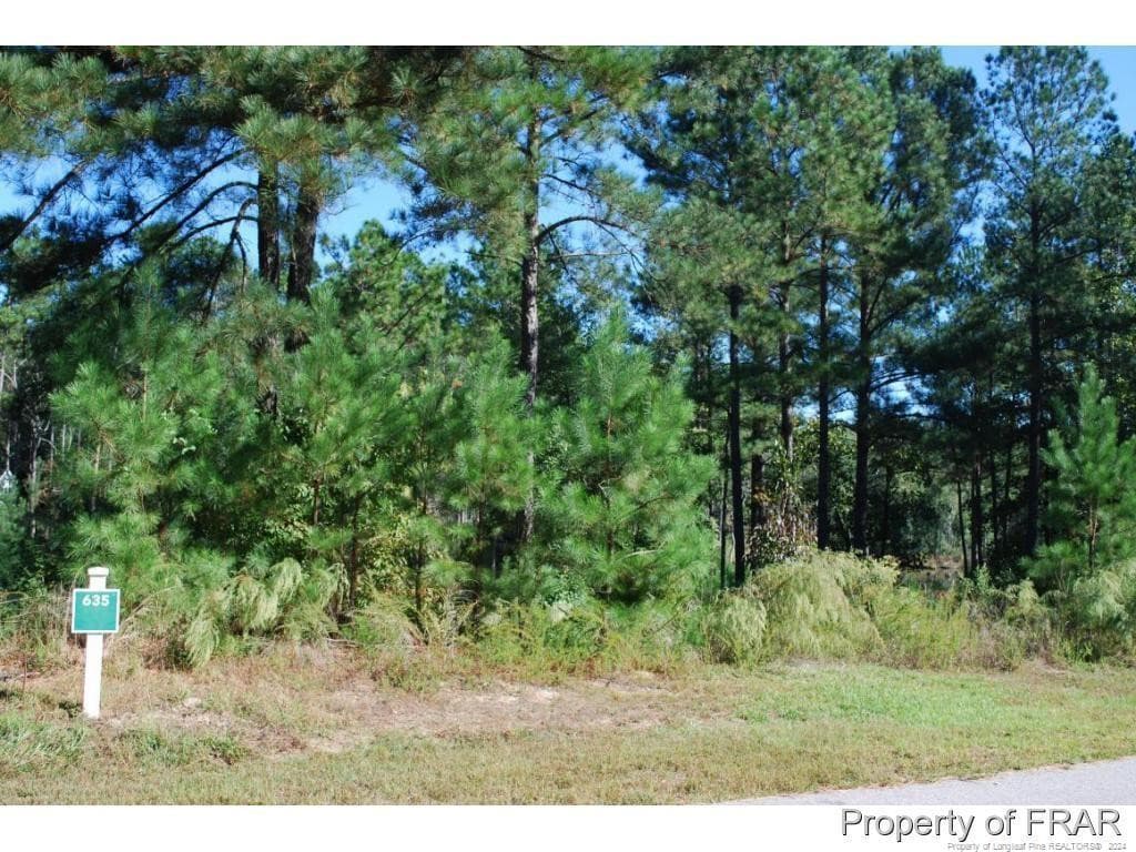 Photo 2 - 152 Broadlake (635) Lane, Spring Lake, NC 28390