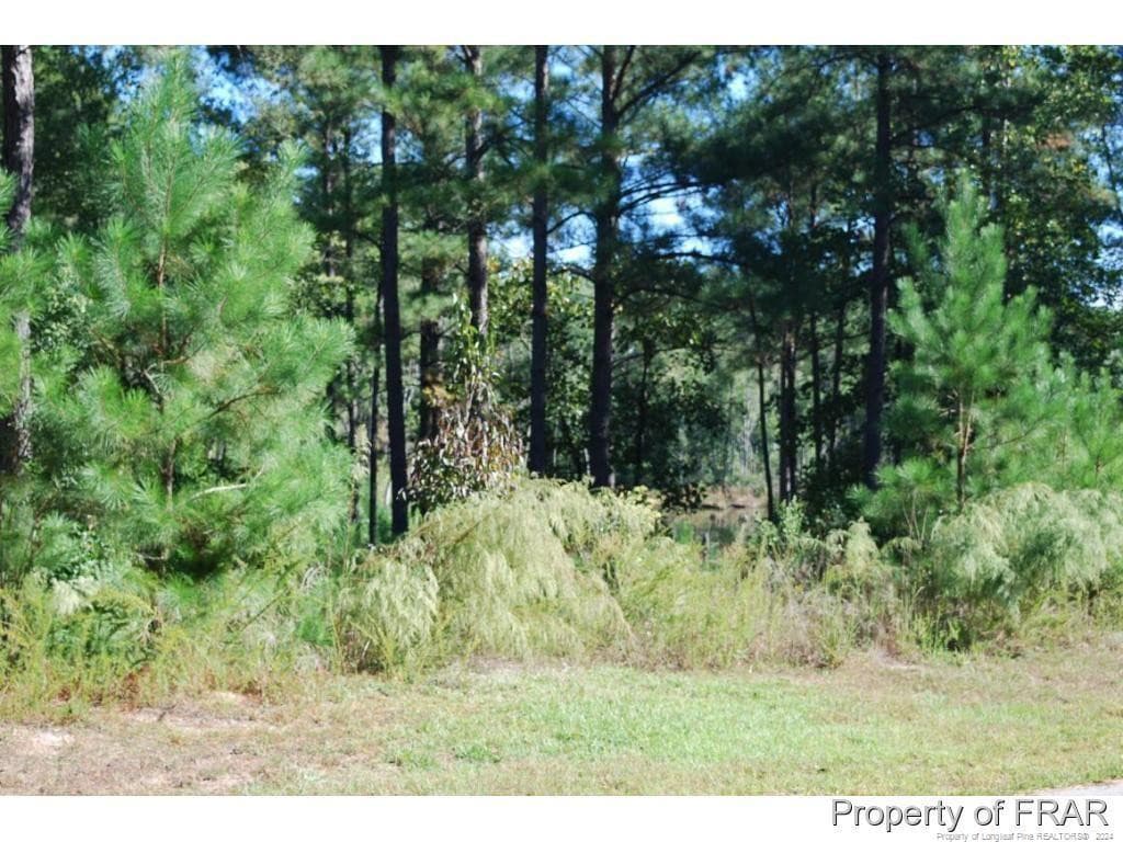 Photo 3 - 152 Broadlake (635) Lane, Spring Lake, NC 28390