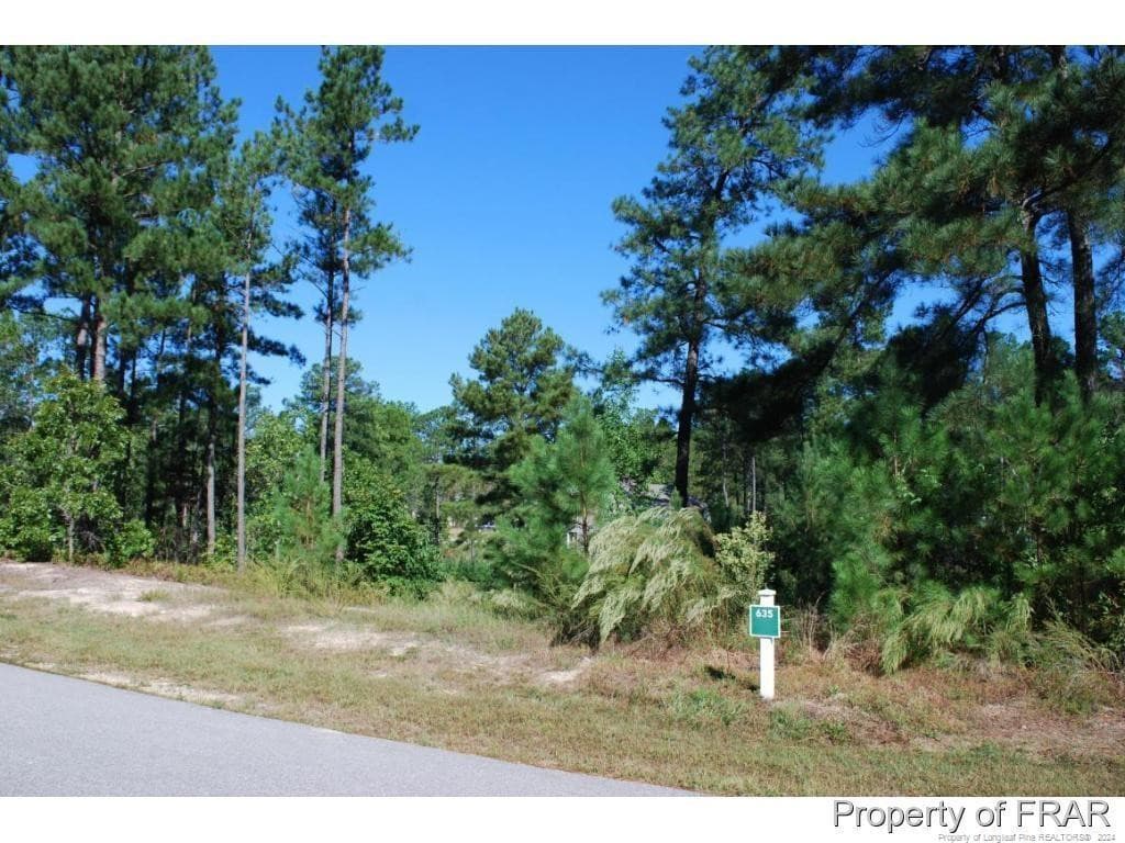 Photo 4 - 152 Broadlake (635) Lane, Spring Lake, NC 28390
