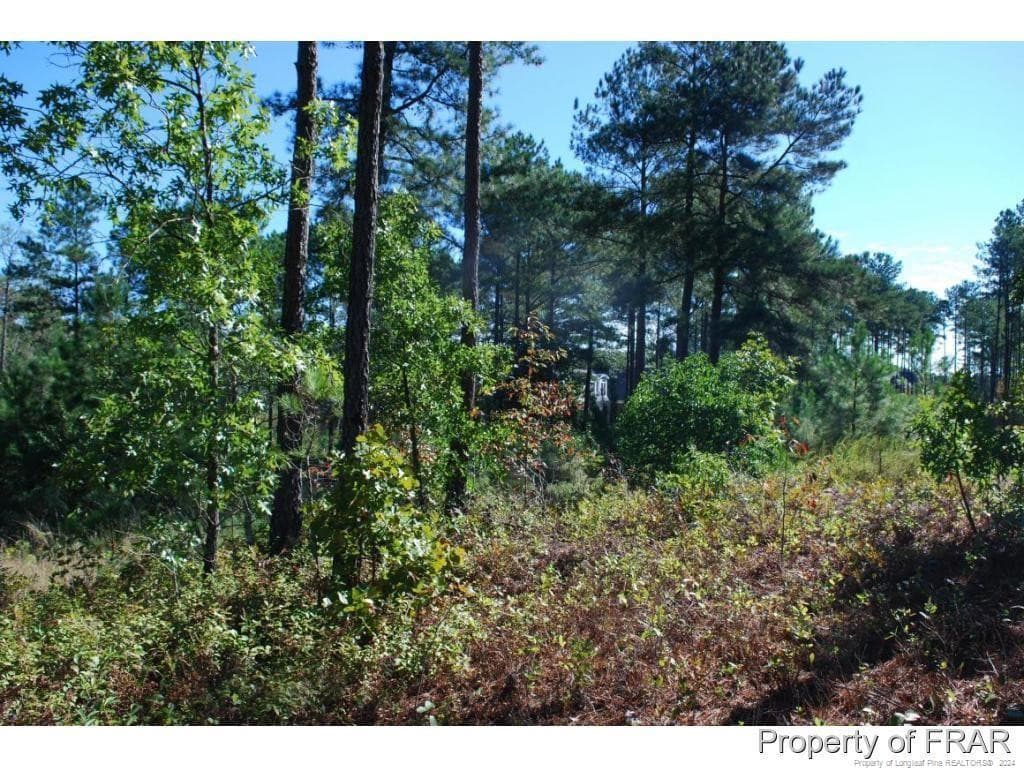 Photo 5 - 152 Broadlake (635) Lane, Spring Lake, NC 28390