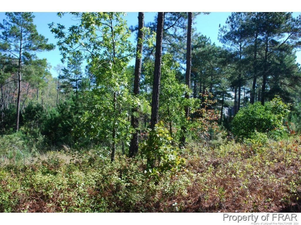 Photo 6 - 152 Broadlake (635) Lane, Spring Lake, NC 28390