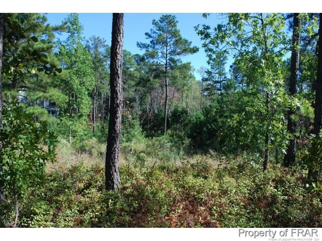 Photo 7 - 152 Broadlake (635) Lane, Spring Lake, NC 28390