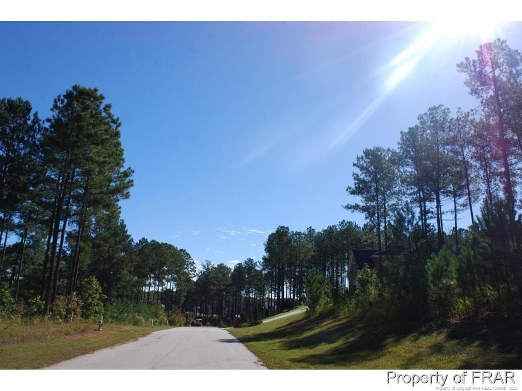 Photo 8 - 152 Broadlake (635) Lane, Spring Lake, NC 28390
