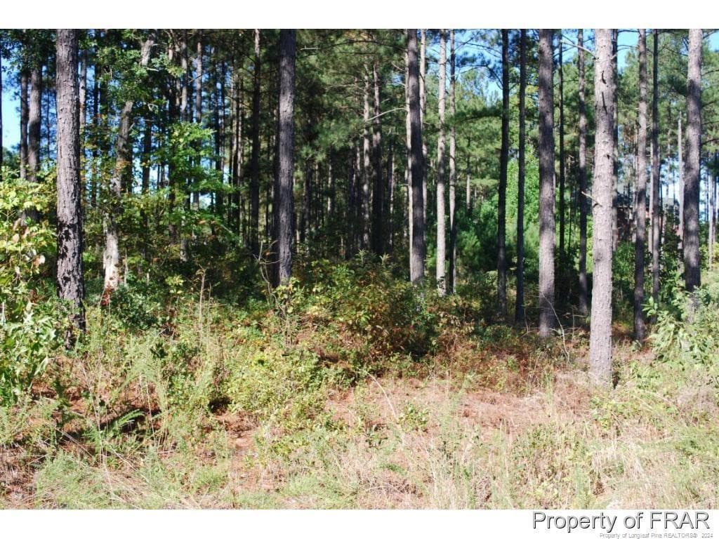 Photo 3 - 45 Broadlake (479) Lane, Spring Lake, NC 28390