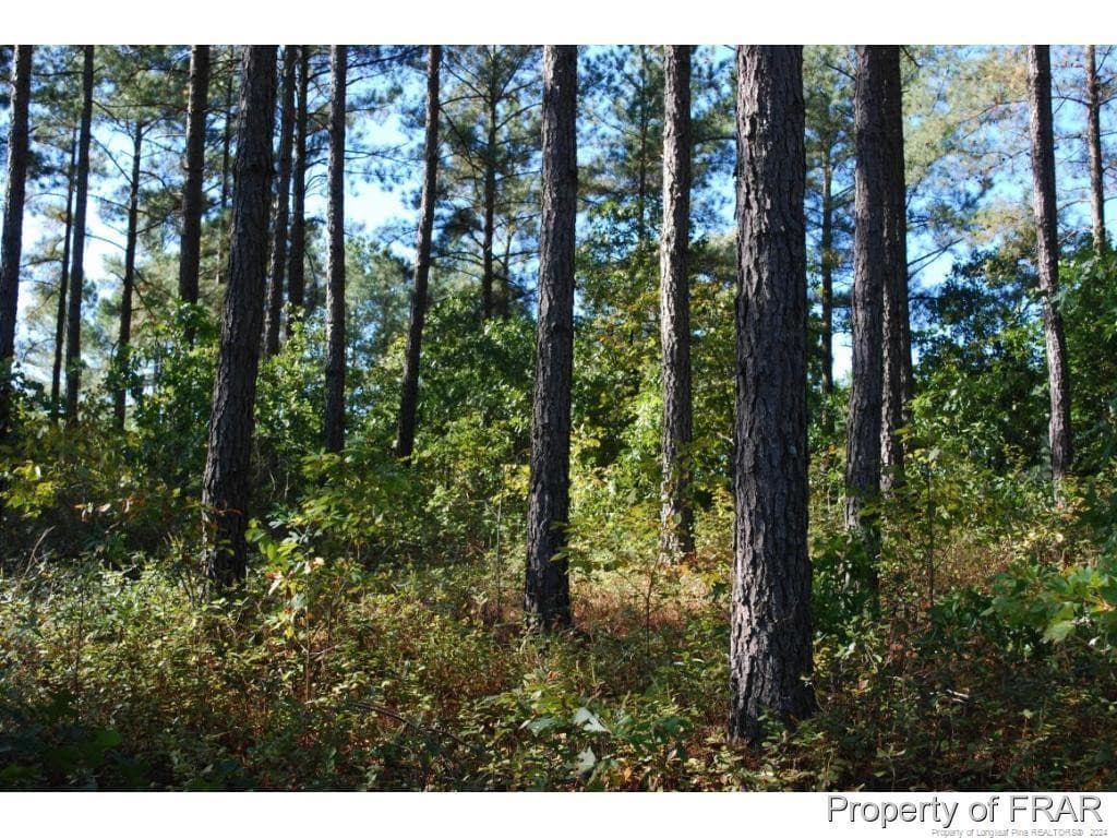 Photo 4 - 45 Broadlake (479) Lane, Spring Lake, NC 28390