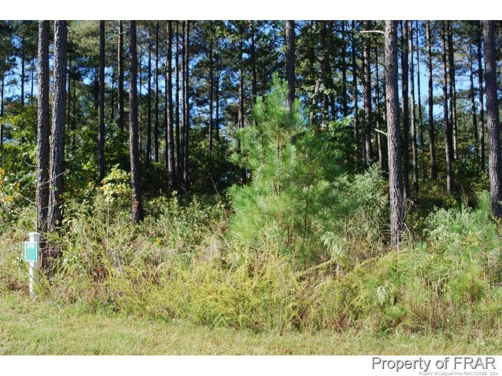 Photo 2 - 45 Broadlake (479) Lane, Spring Lake, NC 28390