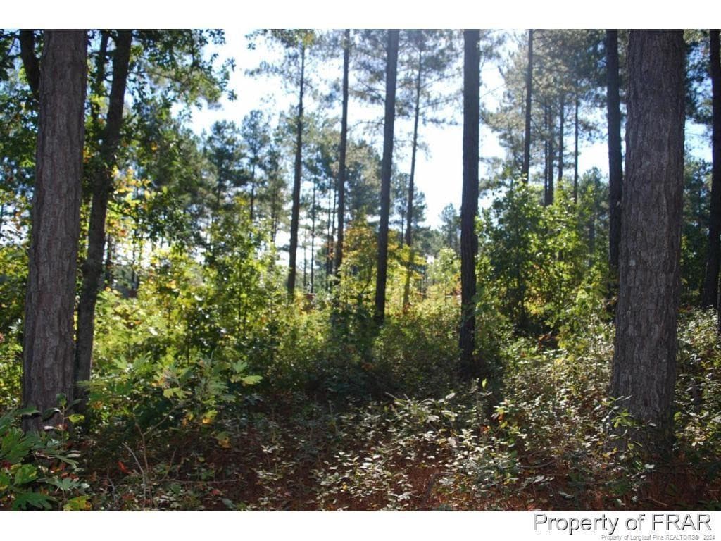 Photo 5 - 45 Broadlake (479) Lane, Spring Lake, NC 28390