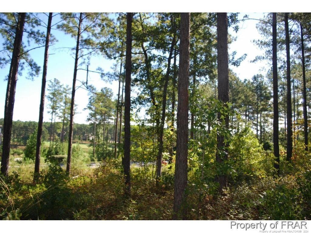 Photo 6 - 45 Broadlake (479) Lane, Spring Lake, NC 28390