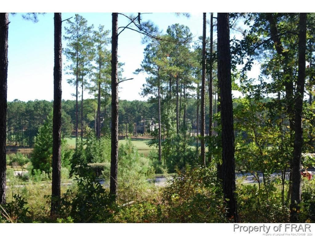 Photo 7 - 45 Broadlake (479) Lane, Spring Lake, NC 28390