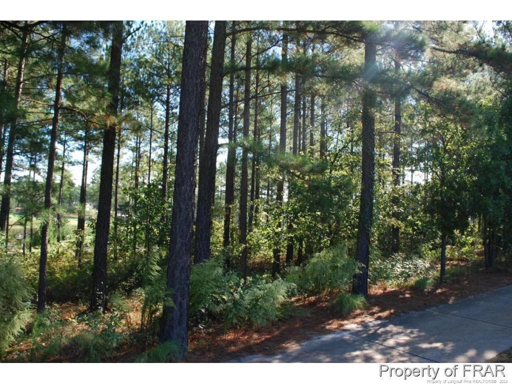 Photo 8 - 45 Broadlake (479) Lane, Spring Lake, NC 28390