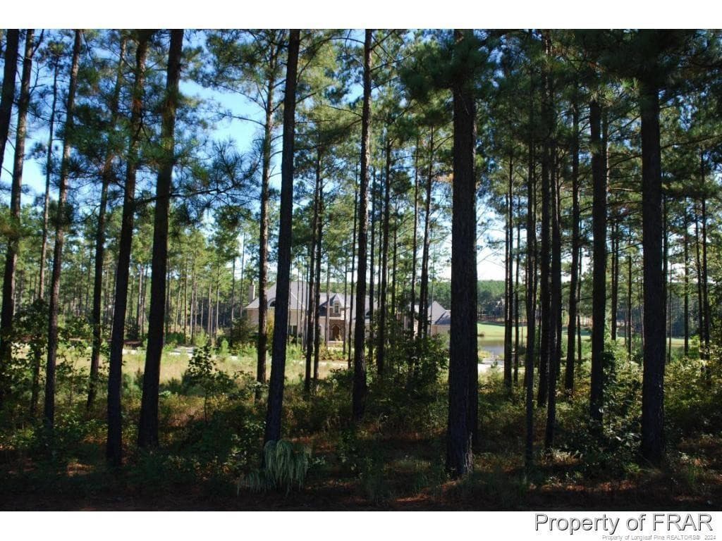 Photo 9 - 45 Broadlake (479) Lane, Spring Lake, NC 28390