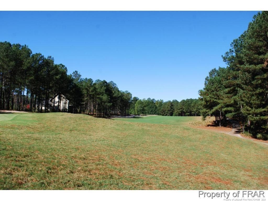 Photo 10 - 45 Broadlake (479) Lane, Spring Lake, NC 28390