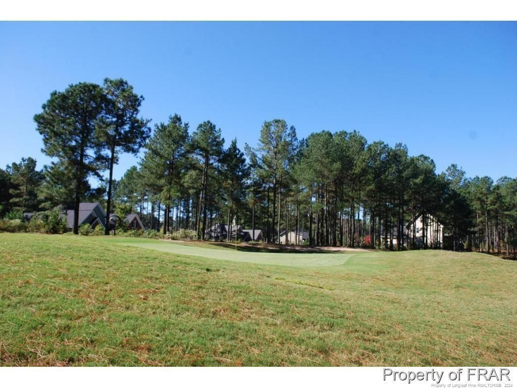 Photo 11 - 45 Broadlake (479) Lane, Spring Lake, NC 28390