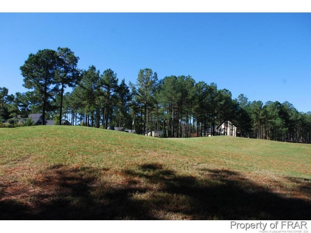 Photo 12 - 45 Broadlake (479) Lane, Spring Lake, NC 28390