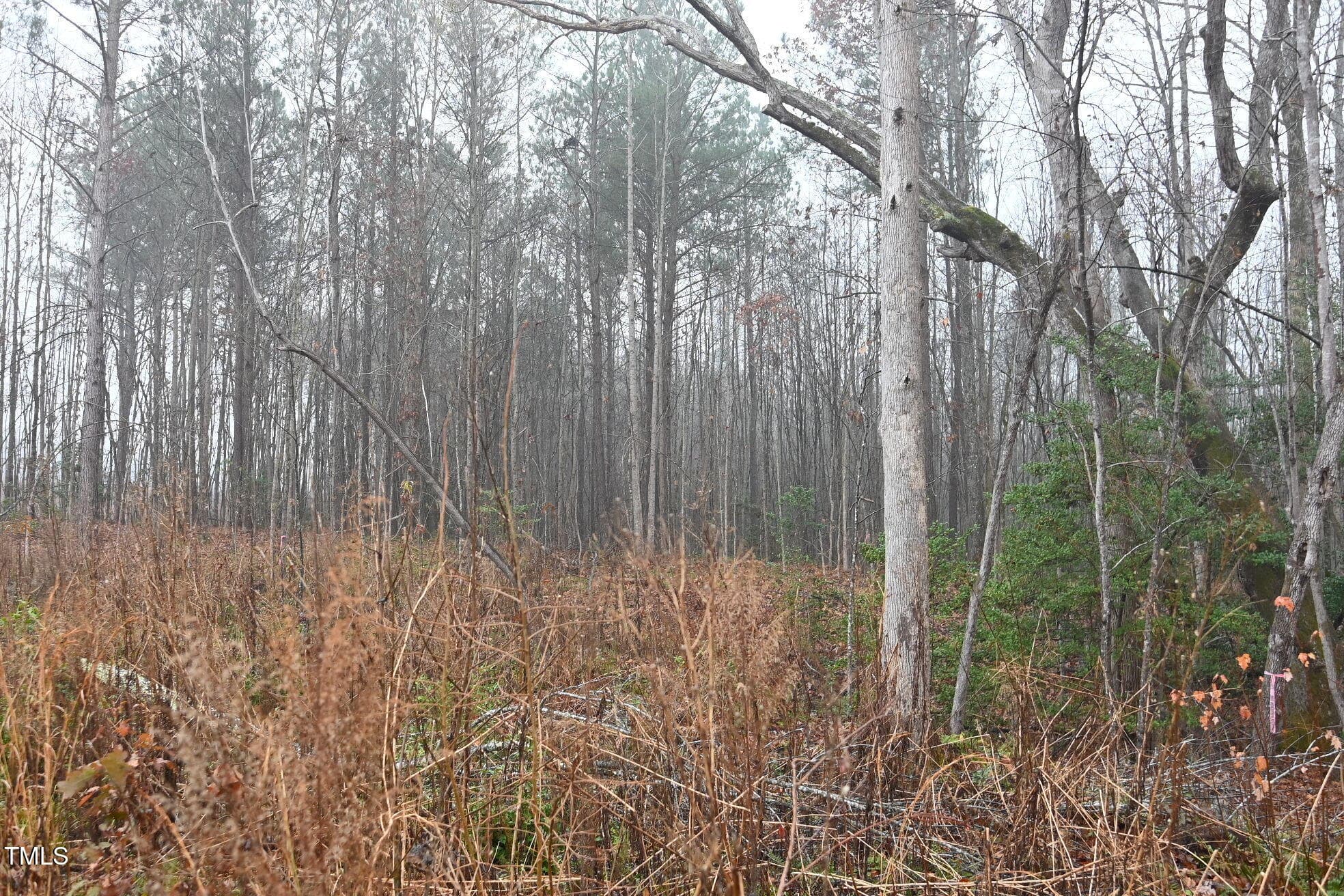DSC_3187 - 1080 Lickskillet Road, Warrenton, NC 27589