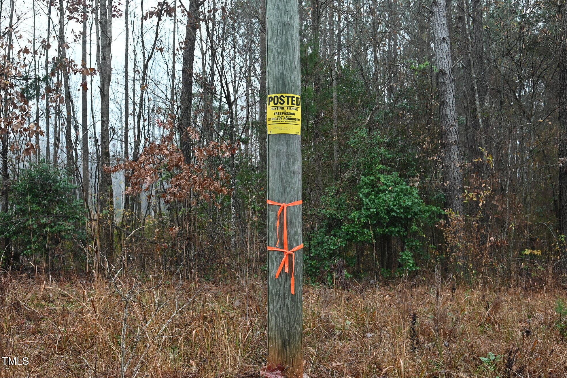 DSC_3213 - 1080 Lickskillet Road, Warrenton, NC 27589