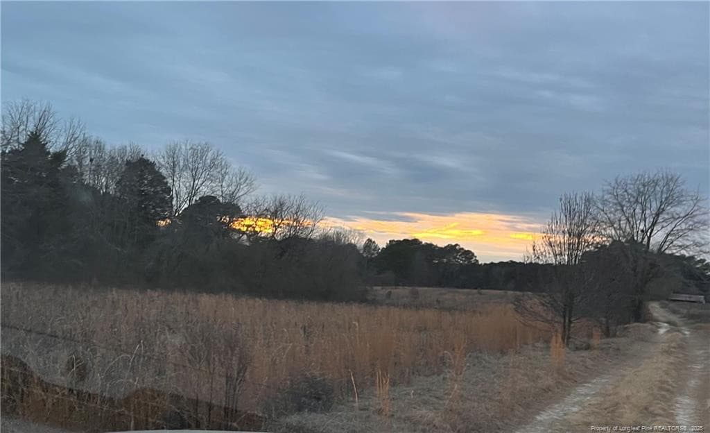 Photo 4 - TBD Hwy 87/ Broadway Rd. Road, Sanford, NC 27330