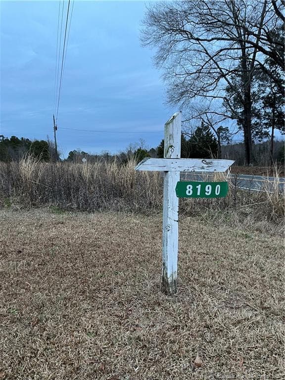 Photo 5 - TBD Hwy 87/ Broadway Rd. Road, Sanford, NC 27330