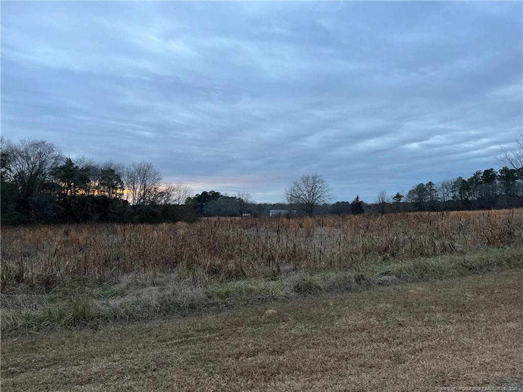 Photo 8 - TBD Hwy 87/ Broadway Rd. Road, Sanford, NC 27330