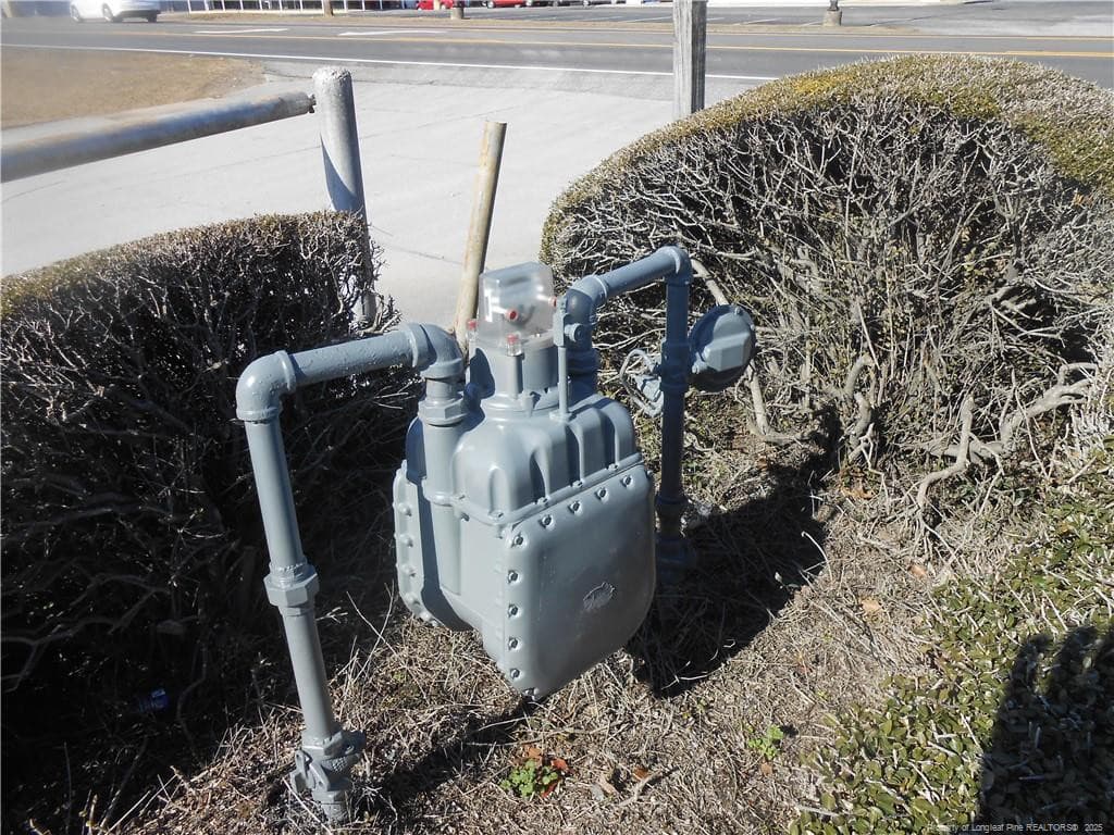 NG Meter next to Driveway Entrance - 3500 E Elizabethtown Road, Lumberton, NC 28358