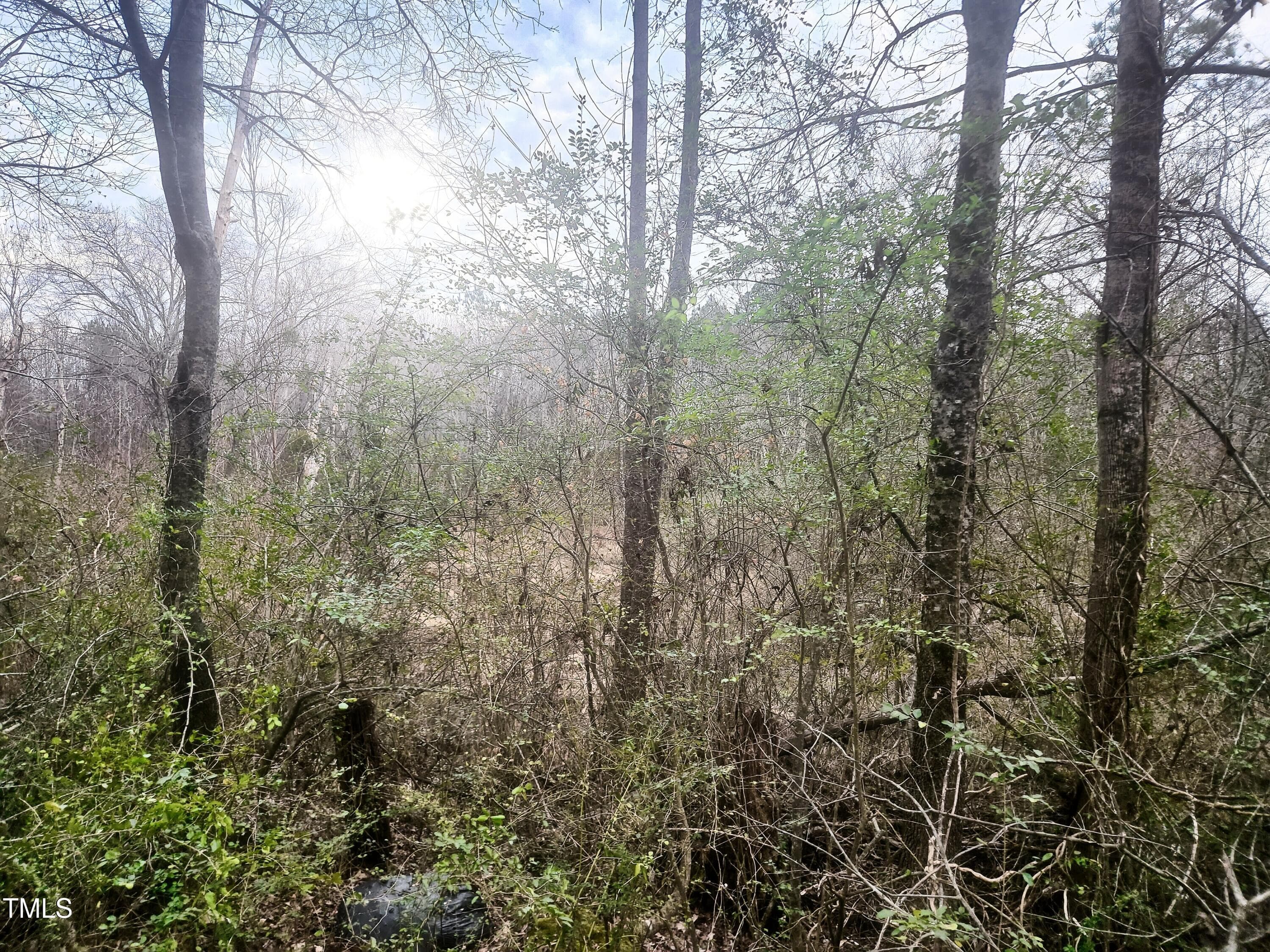 0 Short Street, Littleton, NC 27850