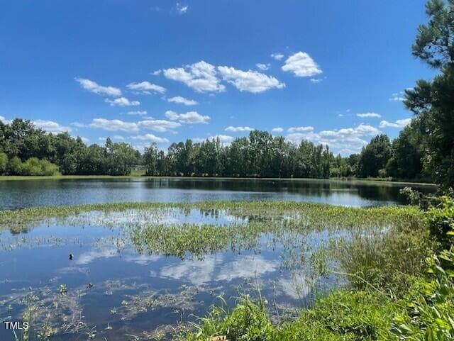 Community Pond - 85 N Stagecoach Drive, Wendell, NC 27591