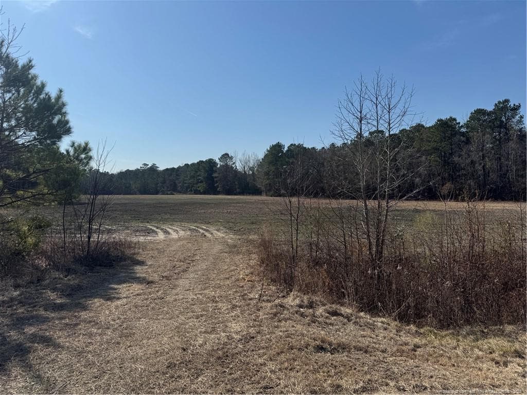 Photo 3 - 0 American Indian Highway, Lumberton, NC 28358