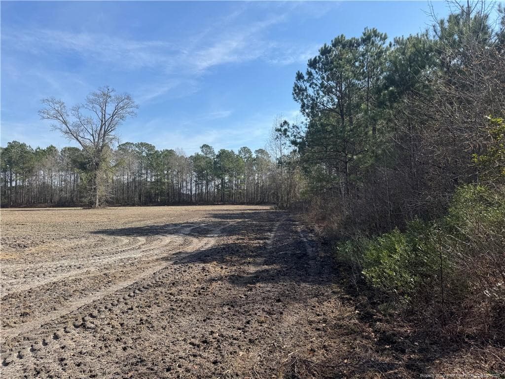 Photo 9 - 0 American Indian Highway, Lumberton, NC 28358