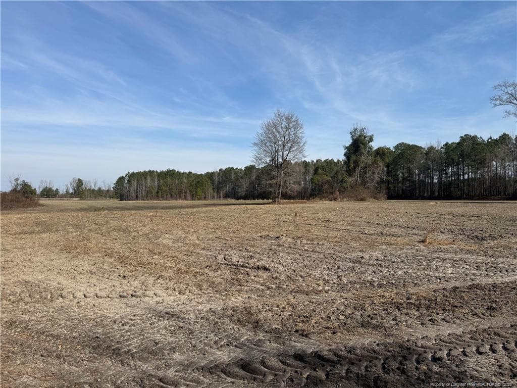 Photo 10 - 0 American Indian Highway, Lumberton, NC 28358