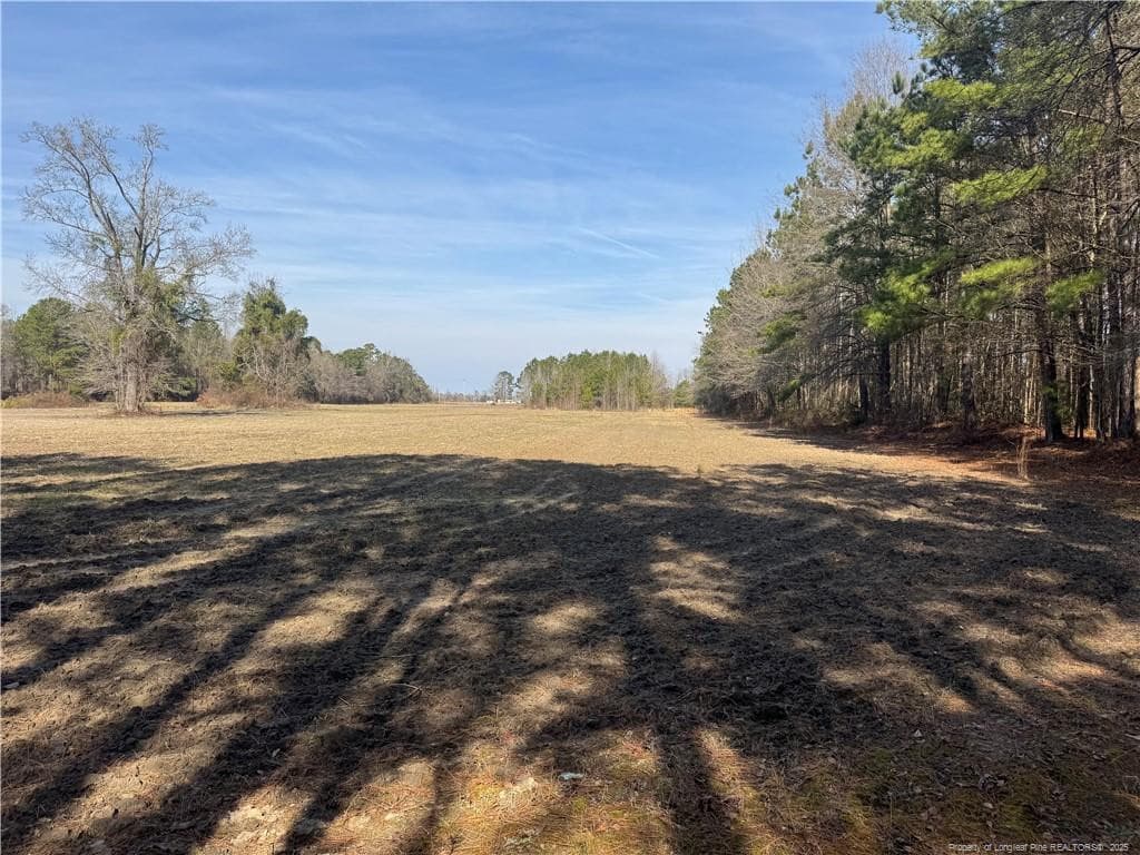 Photo 11 - 0 American Indian Highway, Lumberton, NC 28358