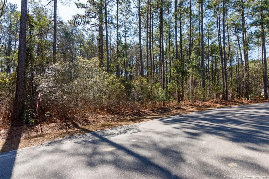 Photo 2 - #4 Caddie Court, Wagram, NC 28396