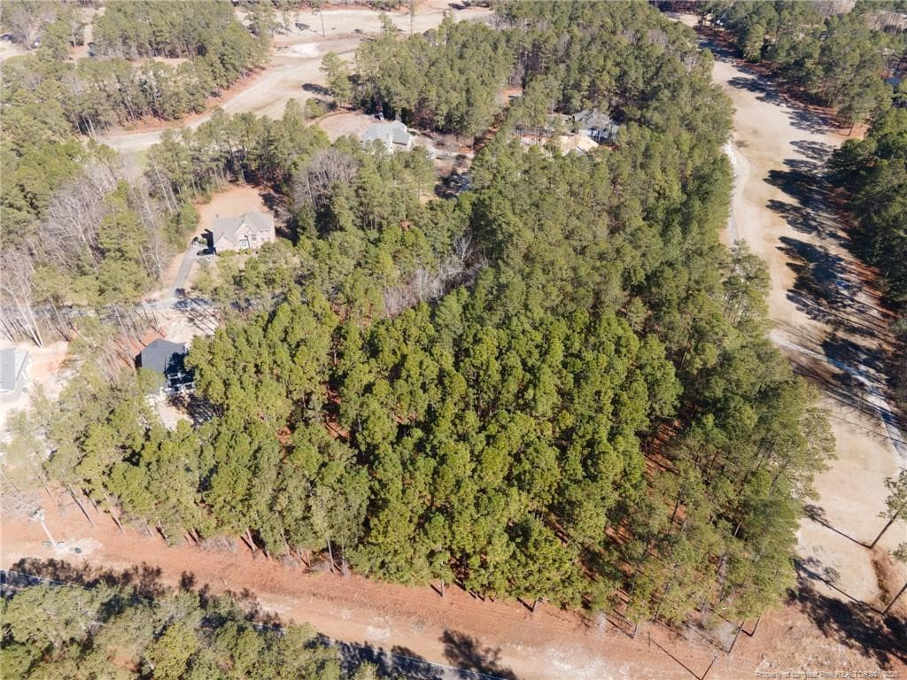 Photo 6 - #4 Caddie Court, Wagram, NC 28396