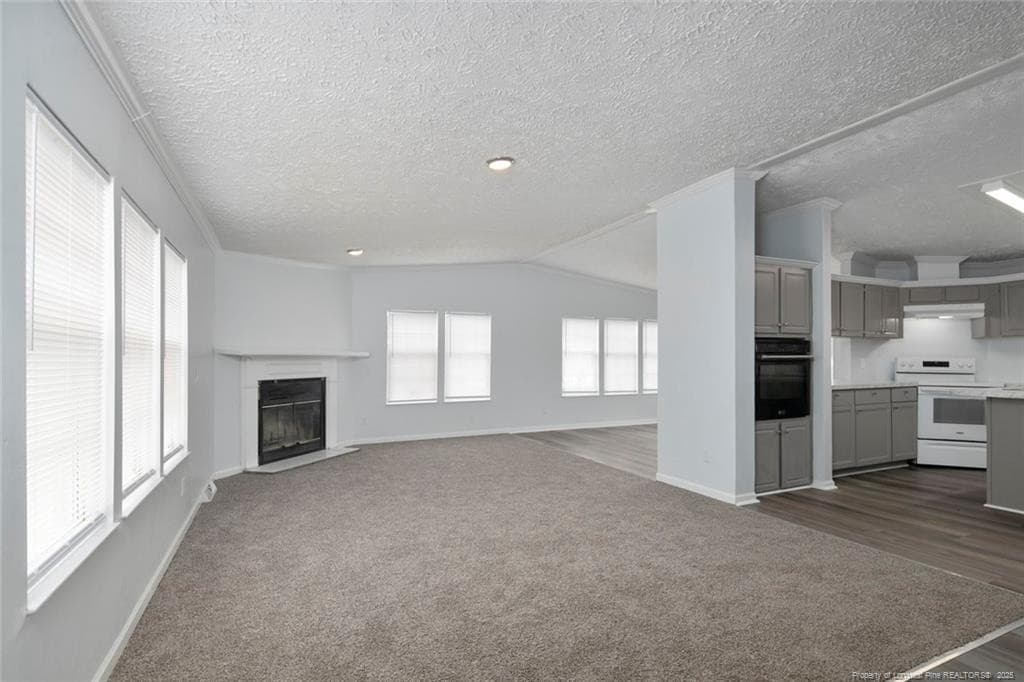 Photo 5 - 25 Remines Court, Parkton, NC 28371